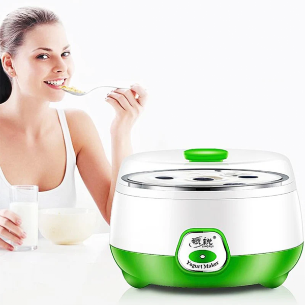 Automatic Stainless Steel Electric Yogurt (Doi) Maker - Image 2